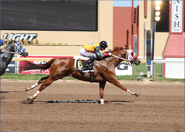Ajs High, under jockey Stormy Smith, winning the $100,000 Sooner State Stakes[RG1] at Remington Park.  © Dustin Orona Photography  