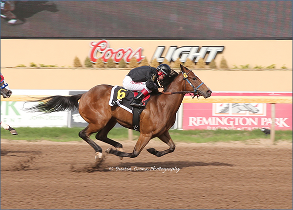 Undefeated Discapades Wins FL Lady Bugs Stakes at Remington Park. © Dustin Orona Photography Undefeated Discapades Wins FL Lady Bugs Stakes at Remington Park. © Dustin Orona Photography