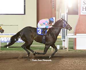 Jzoomin Scoot ended his 2016 campaign in October with an 870-yard win around the turn. Photo by Dustin Orona
