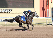 Big Lew at Remington Park • Dustin Orona Photography