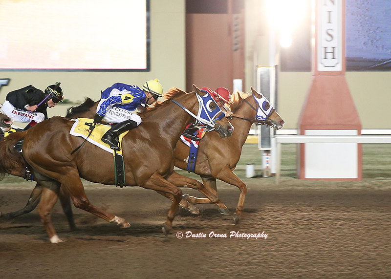 Apollitical Man wins the SLM Big Daddy Stakes at Remington Park • Photo by: Dustin Orona