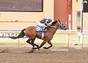 Jess Kool Lady fastest qualifier © Dustin Orona Photography