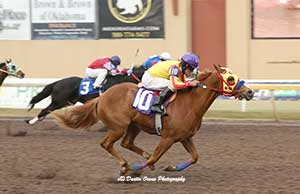  Ima China Rush (10), with Larry Payne up, flies to the fastest qualifying time for the $525,050 Oklahoma Futurity in her trial on March 11. The 76th-running of the oldest futurity in American Quarter Horse racing takes place on Saturday, March 25 at Remington Park. Credit: Dustin Orona Photography
