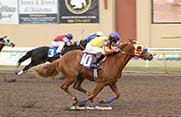 Ima China Rush Fastest Qualifier to the $525,050 Oklahoma Futurity [G3]  © Dustin Orona Photography