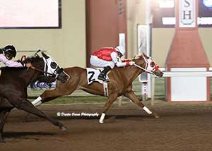 Tres Of Elegants, under jockey Jimmy Brooks, breaks the top ten in the 16th trial. © Dustin Orona Photography