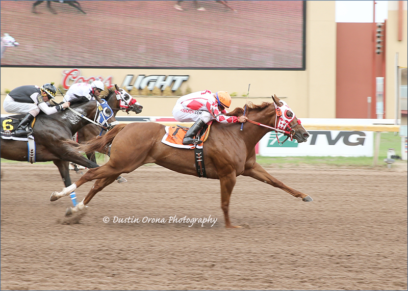 Getting Even wins Merial Oklahoma Distaff Challenge
