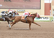 Getting Even wins Merial Oklahoma Distaff Challenge