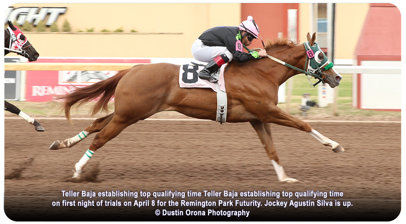 Teller Baja