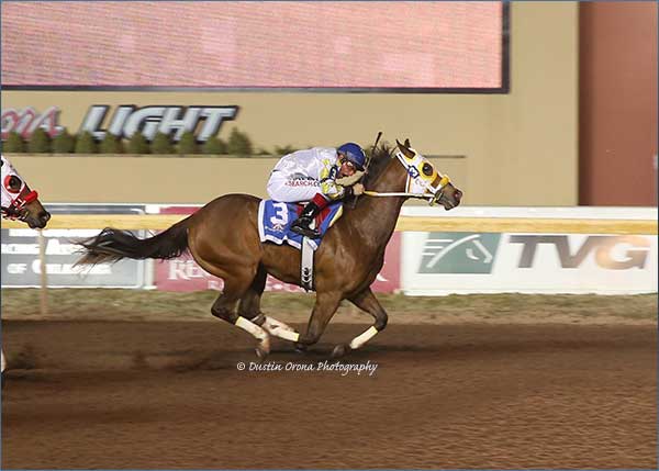 Coronas First Dive winning Oklahoma Futurity  (Credit-Dustin Orona Photography)