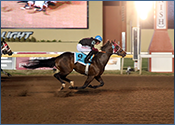 PAINTED TURNPIKE Continues Impressive Season, Glides to Victory in Paul Harber Memorial