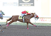 AJS High wins Eastex Futurity © Dusitn Orona Photography