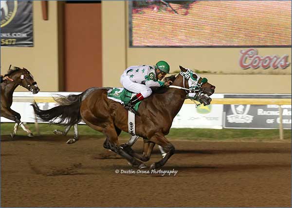 Zoomin Effortlessly sets new track record in Remington Park Championship Win - Dustin Orona Photography Zoomin Effortlessly sets new track record in Remington Park Championship Win - Dustin Orona Photography