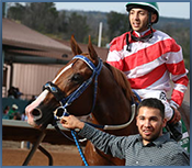 All American Winner Jess Good Candy Set to Make 2016 Debut in Mr Master Bug Stakes