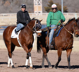© Amanda Glidden/Plugged In Equine Marketing Solutions